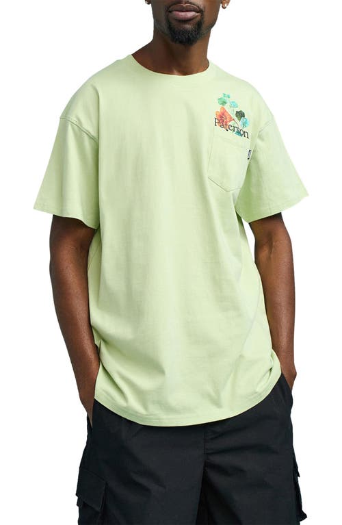 PATERSON Flowers Pocket Graphic T-Shirt Mint at Nordstrom,