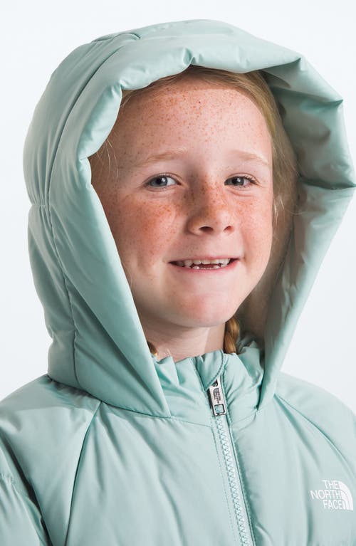 Shop The North Face Kids' North Down Fleece Lined Short Parka In Muted Pine