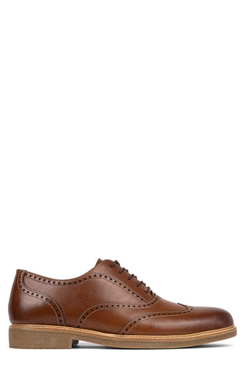 Donald Pliner Keelan Wingtip Oxford In Whiskey/whiskey