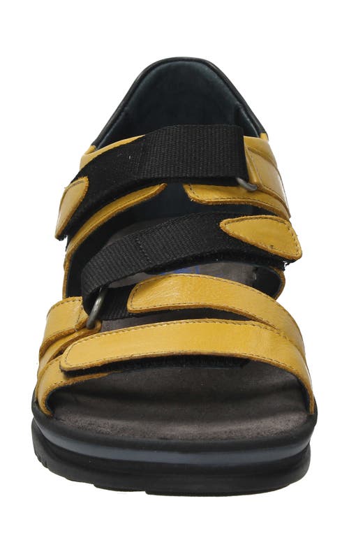 Wolky Desh Sandal In Amber Leather