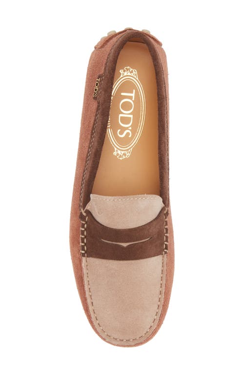 Shop Tod's Colorblock Penny Loafer In Cotto Chiaro