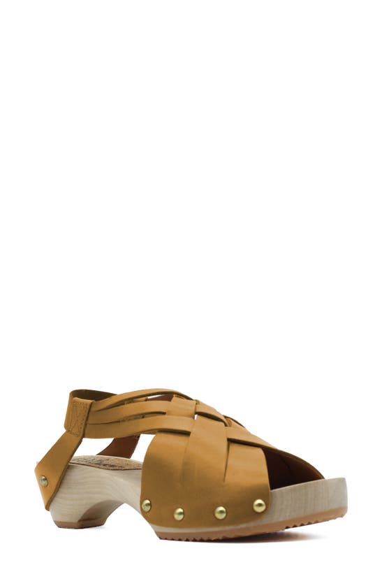 Jax And Bard Jewell Strappy Slingback Sandal In Gold