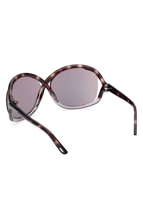 Shop Tom Ford Bettina 68mm Oversize Butterfly Sunglasses In Coloured Havana/smoke