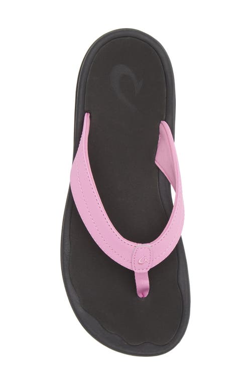 Shop Olukai Ohana Flip Flop In Dragon Fruit/black