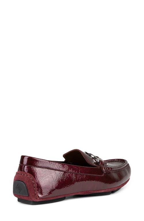 DONALD PLINER DONALD PLINER BIT SLIP-ON DRIVER