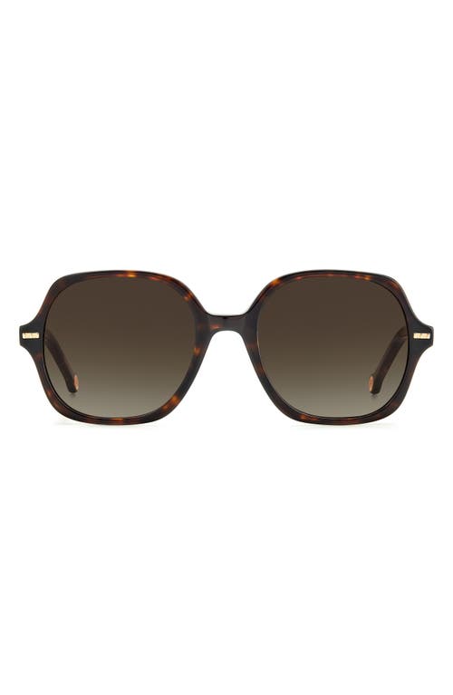 Carolina Herrera 55mm Square Sunglasses in Havana / at Nordstrom