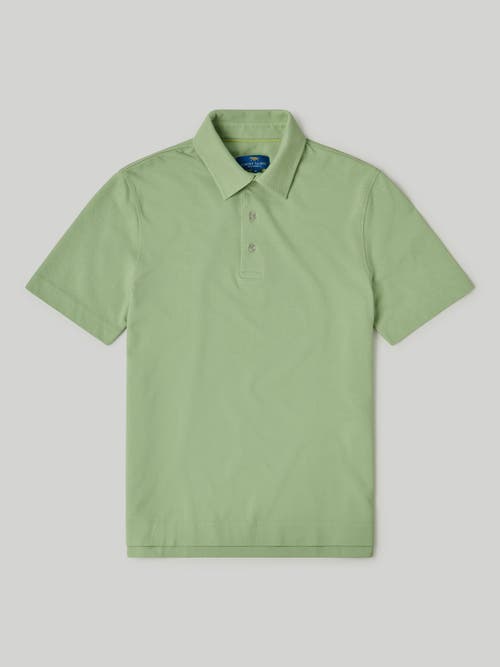 Shop Robert Talbott Walker Short Sleeve Polo In Spring Green