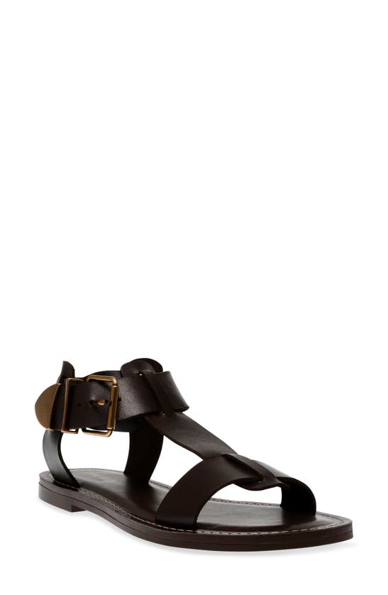 Shop Steve Madden Brazinn Gladiator Sandal In Brown Leather