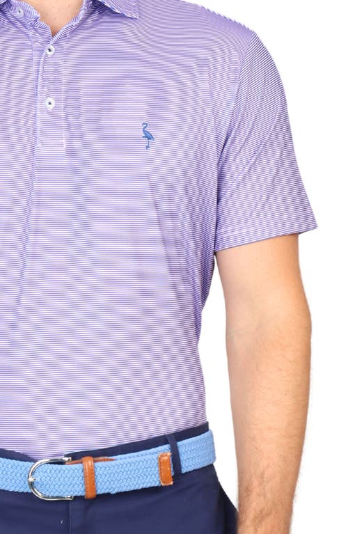 TAILORBYRD TAILORBYRD MICRO STRIPE PRINT PERFORMANCE POLO 