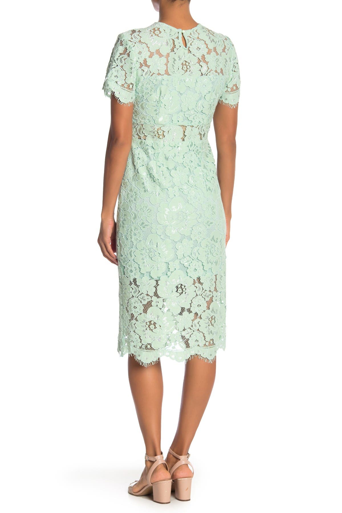 nsr lace short sleeve sheath midi dress