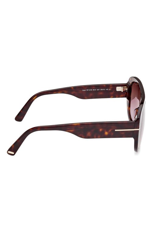 Shop Tom Ford Cecil 55mm Pilot Sunglasses In Shiny Dark Havana/bordeaux