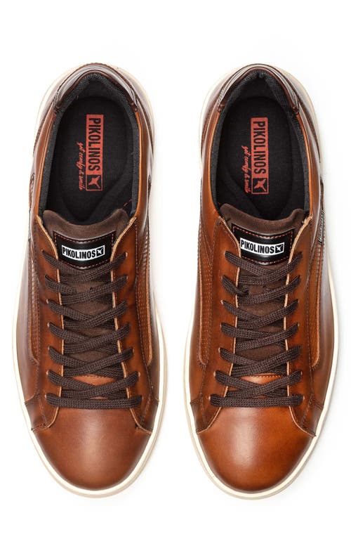 Pikolinos Xativa Basic Punched Sneaker In Cuero