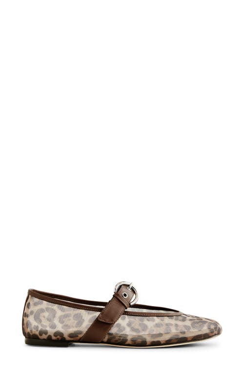 Shop Reformation Bethany Ballet Flat In Leopard Mesh