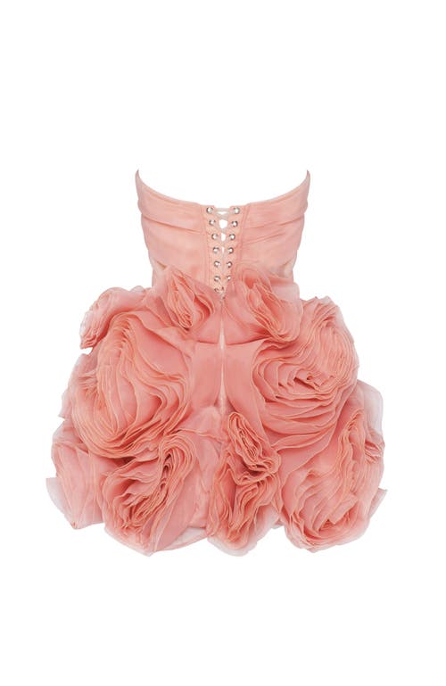 Shop Milla Appliquéd Organza Coral Mini Dress