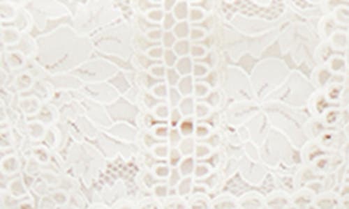 City Chic Lucielle Lace Top In Porcelain