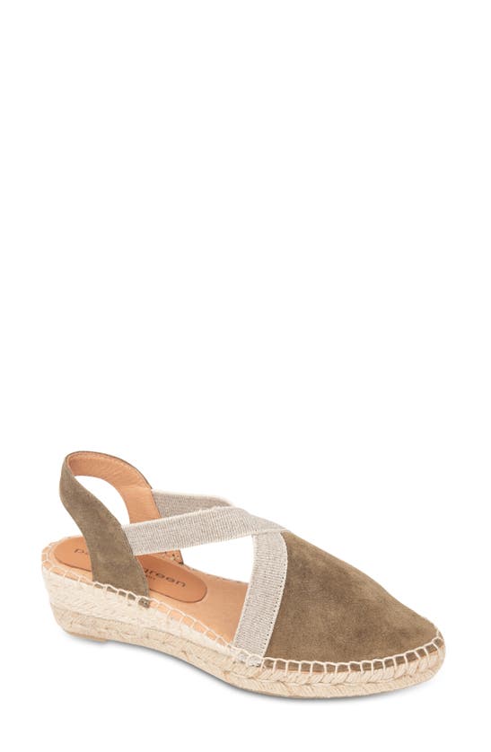 Shop Patricia Green Grace Espadrille Wedge In Olive