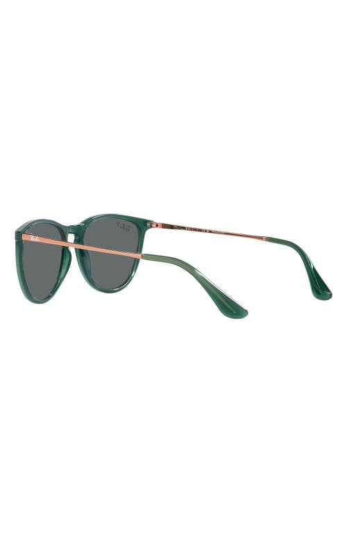 Shop Ray Ban Ray-ban 50mm Jr Round Sunglasses In Opal Green