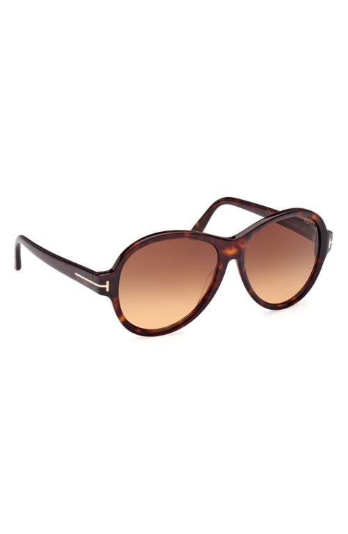 Shop Tom Ford 59mm Round Sunglasses In Dark Havana/gradient Brown