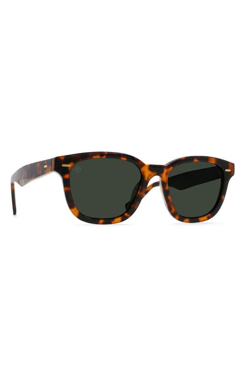 Shop Raen Myles 50mm Polarized Square Sunglasses In Huru/green Polar