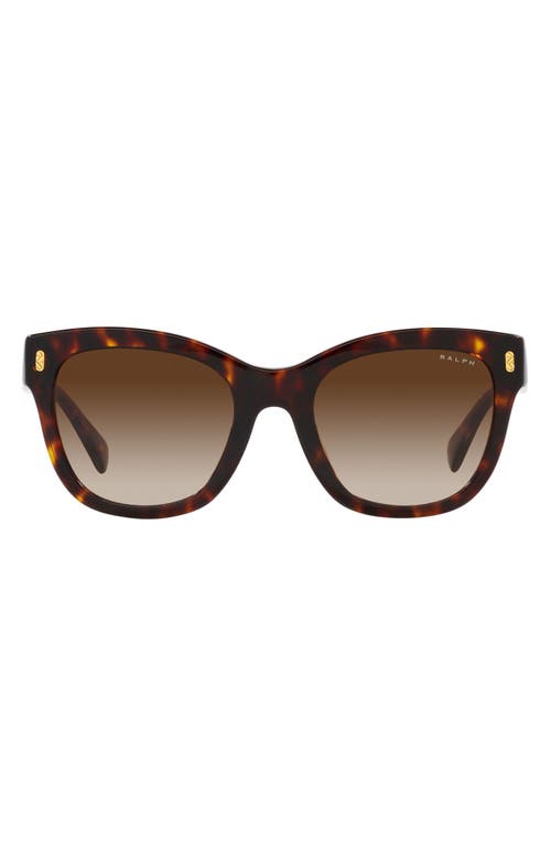 52mm Gradient Oval Sunglasses in Shiny Hava
