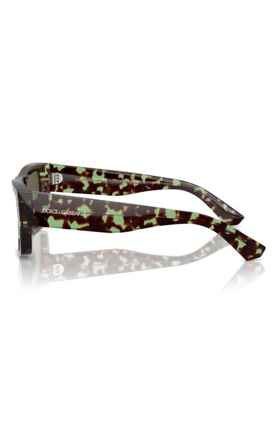 Shop Dolce & Gabbana 55mm Rectangular Sunglasses In Brown