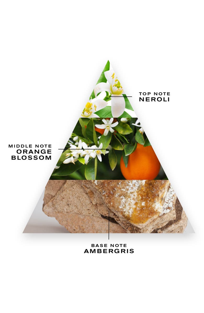 Creed Neroli Sauvage Fragrance, Alternate, color, 