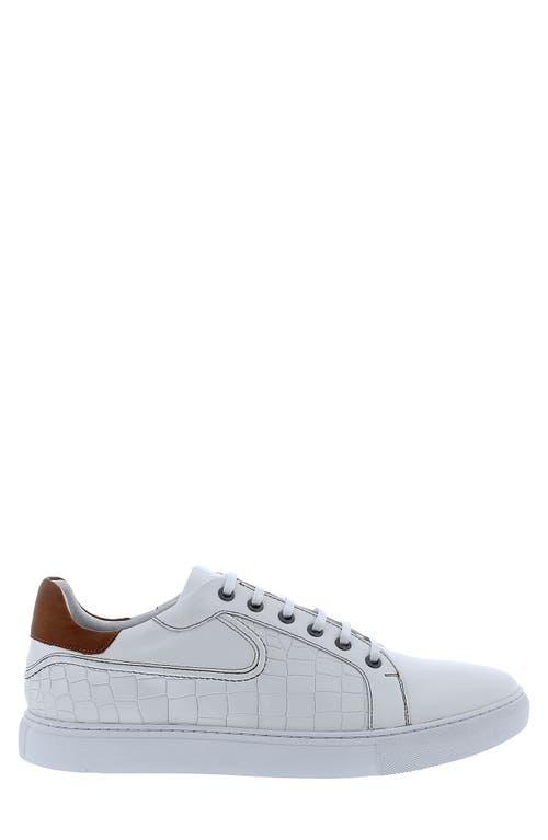 Shop Robert Graham Uffizi Sneaker In White