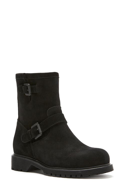 Shop La Canadienne Hana Waterproof Genuine Shearling Lined Engineer Boot In Black Suede