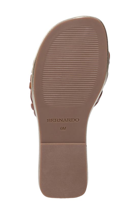 Shop Bernardo Footwear Troy Slide Sandal In Luggage