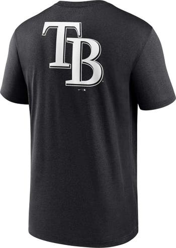 Tampa Bay Rays Nike Team Large Logo Legend Performance T-Shirt - Gray