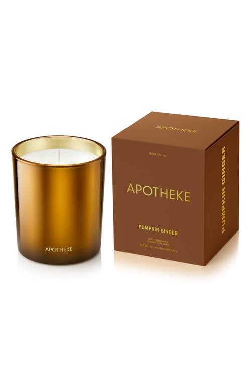 APOTHEKE Pumpkin Ginger Classic Scented Candle in Brown 