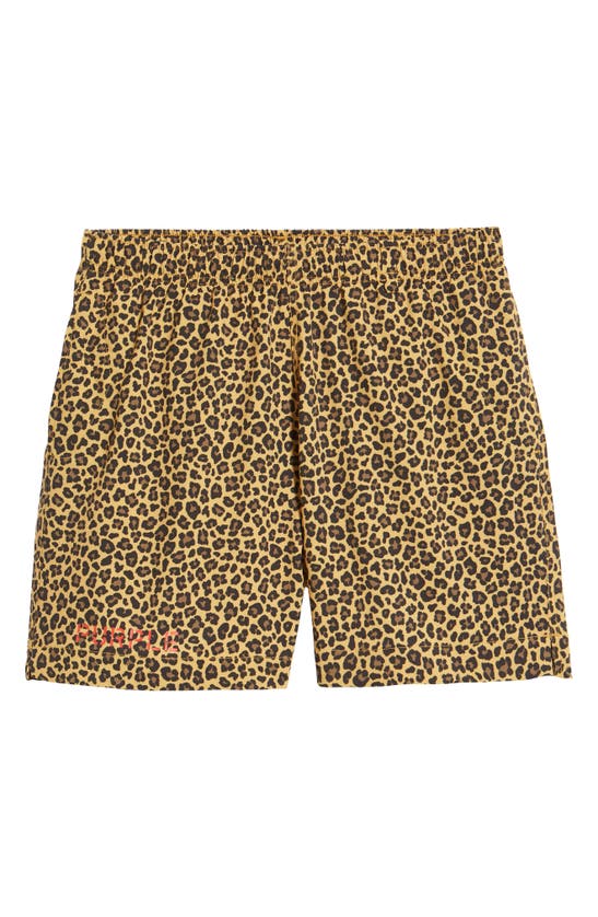 Purple Brand Leopard Print Logo Swim Shorts In B.l. Swim Shorts
