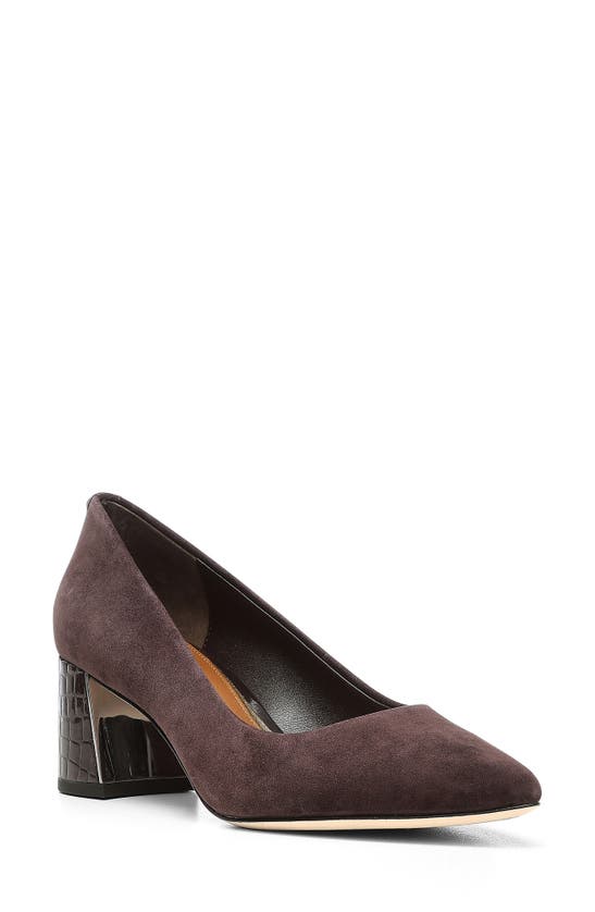 Shop Donald Pliner Suzette Pointed Toe Pump In Dark Brown