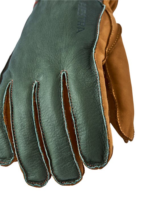 Shop Hestra Wakayama Leather Gloves In Forest/cork