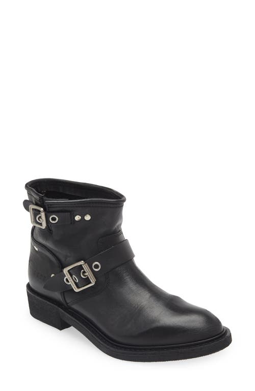 Golden Goose High Harness Biker Bootie Black at Nordstrom,