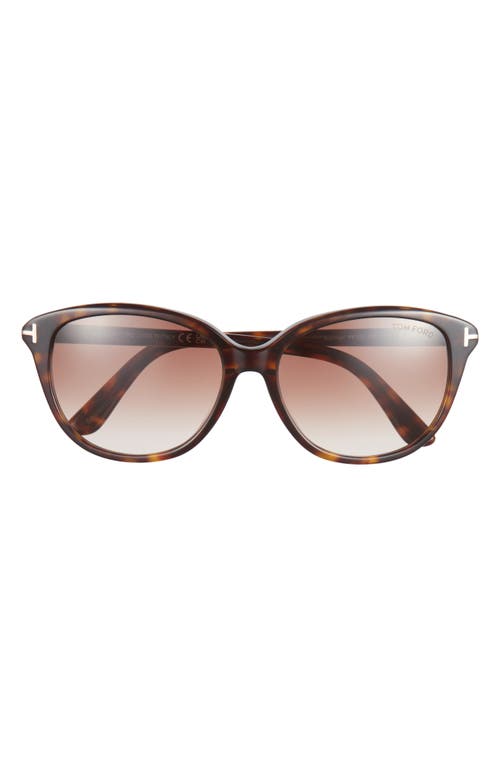 Tom Ford Karmen 57mm Gradient Round Sunglasses In Havana/gradient Brown Lenses