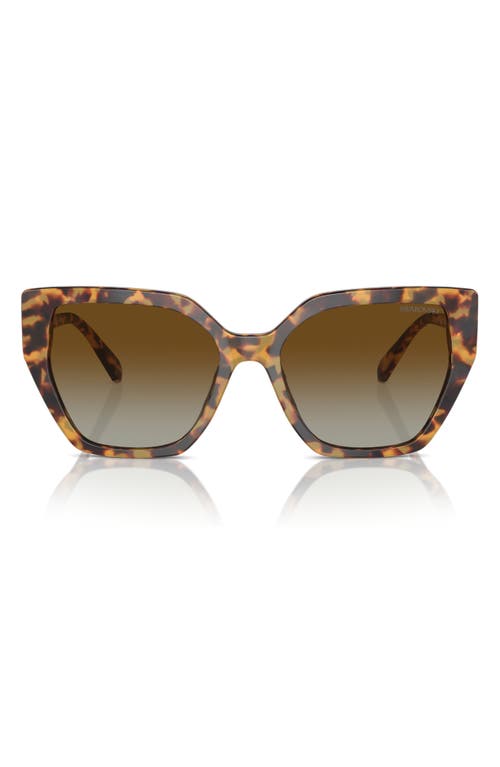 Swarovski Constella Gradient 57mm Pillow Sunglasses in Havana Transparent 