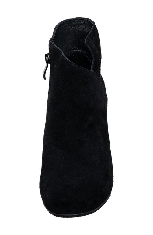 Antelope Perrin Sculptural Heel Bootie In Black Suede