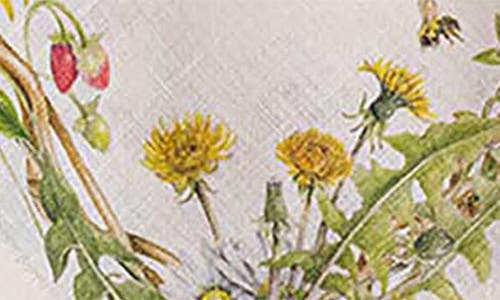 Juliska Meadow Walk Linen Napkins, Set Of 4 In Multi
