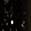 selected Black color