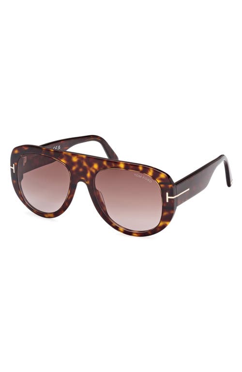 Shop Tom Ford Cecil 55mm Pilot Sunglasses In Shiny Dark Havana/bordeaux