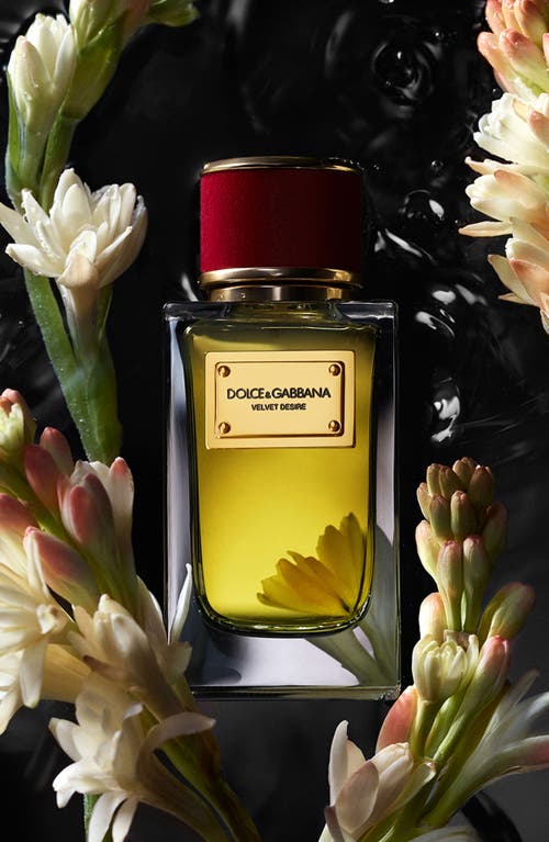 Dolce & Gabbana Velvet Rose Eau De Parfum 100ml In No Color