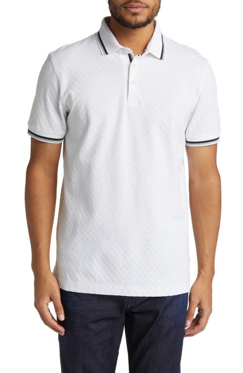 Palos Regular Fit Textured Cotton Knit Polo in White