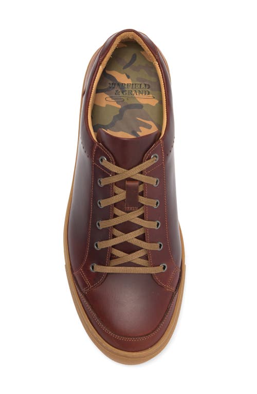 Warfield & Grand Rockcastle Low Top Sneaker In Chestnut