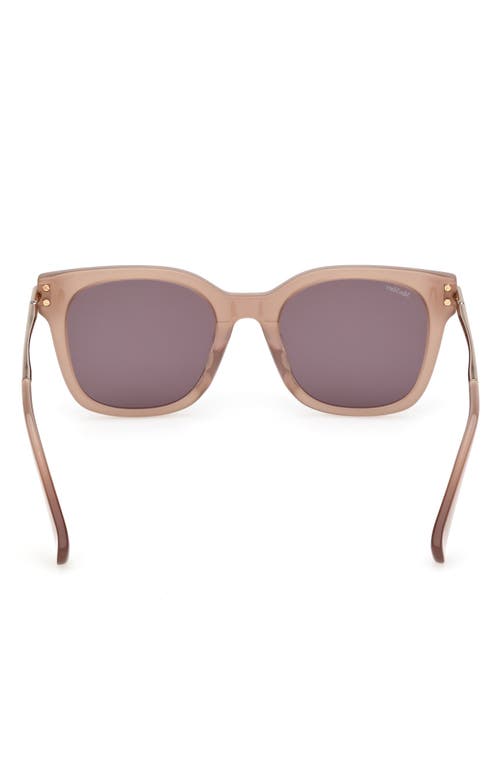 Shop Max Mara 53mm Square Sunglasses In Shiny Beige/brown