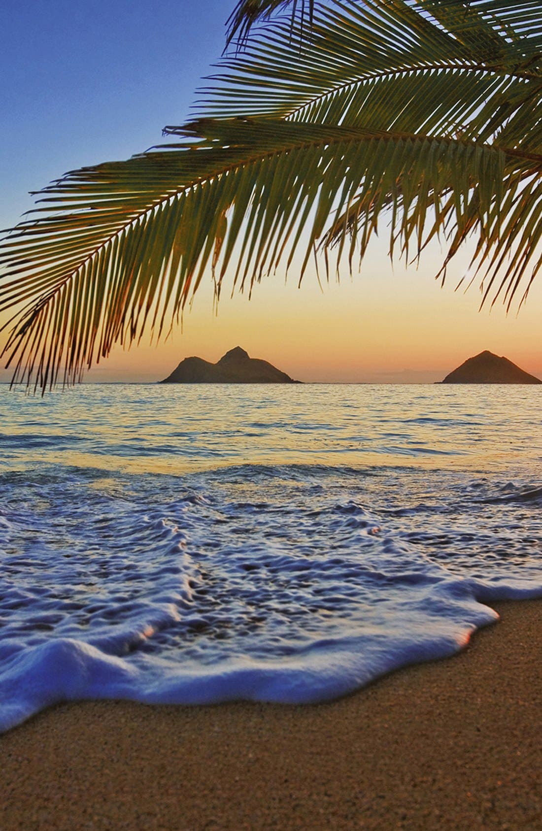 Wallpops Sunset Beach Wall Mural | Nordstrom