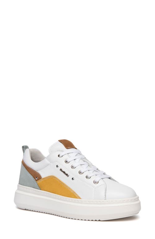 NeroGiardini Retro Colorblock Sneaker White Multi at Nordstrom,