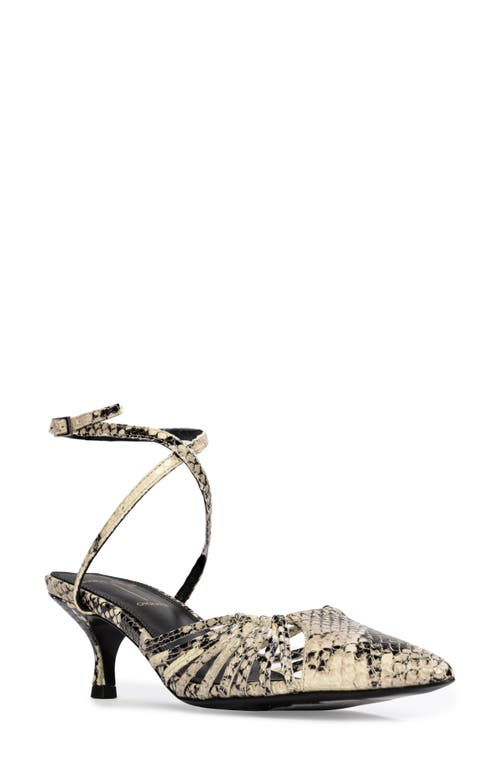 Black Suede Studio Grazia 50 Ankle Strap Pointed Toe Kitten Heel Pump In Peyote Snake
