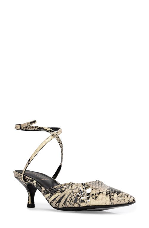 Shop Black Suede Studio Grazia 50 Ankle Strap Pointed Toe Kitten Heel Pump In Peyote Snake