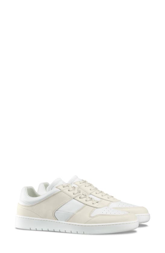 Koio | Aventino in Beach Women's Sneaker 10 (US) / 40 (EU)